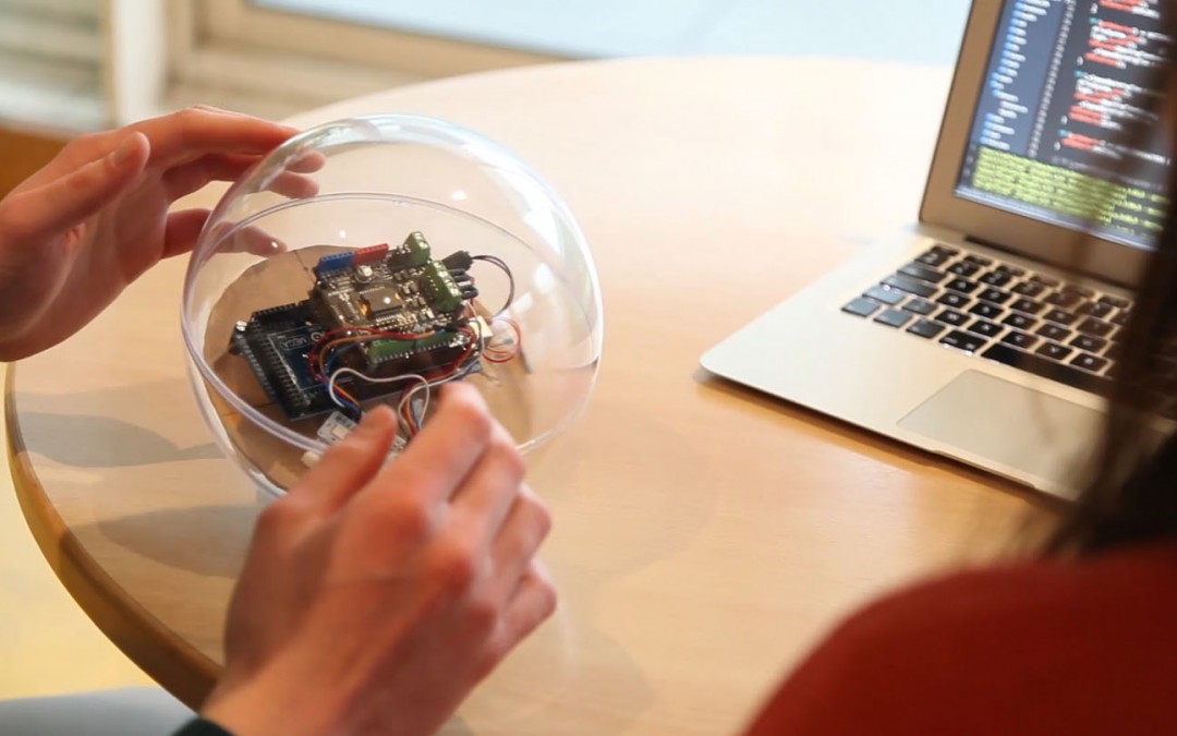 Deux start-ups valdoisiennes se distinguent