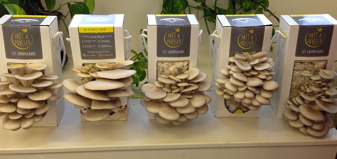 Prêt à Pousser poursuit sa croissance