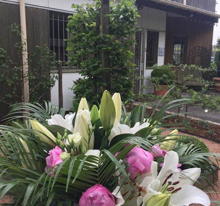 L’entreprise Olivier Vignal Paysagiste nous ouvre les portes de son jardin