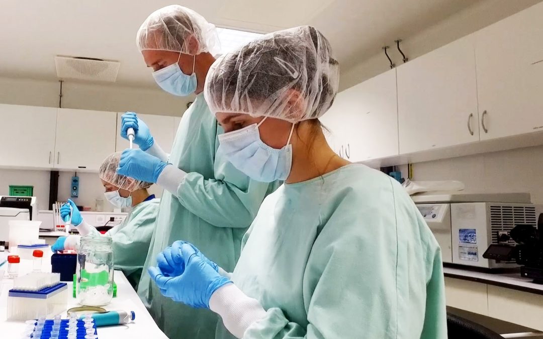 Déploiement de la vaccination COVID par l’AMETIF Santé au Travail