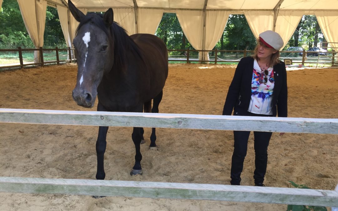 Visions for leaders, à la découverte de l’équi-coaching