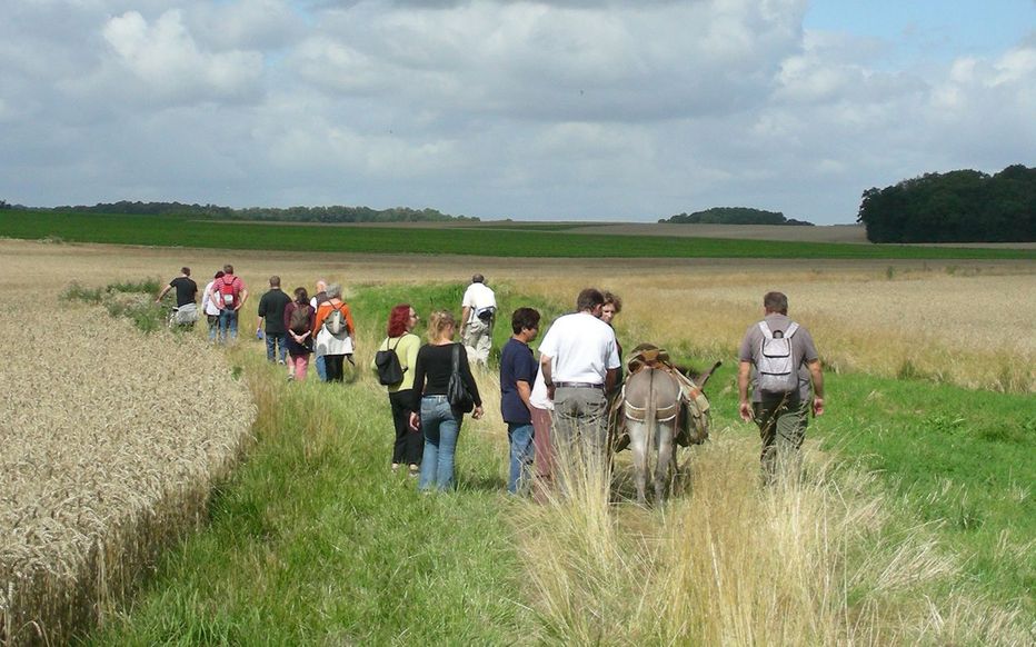 VWJS532FEMBFNTGZNVIS7C2XRU