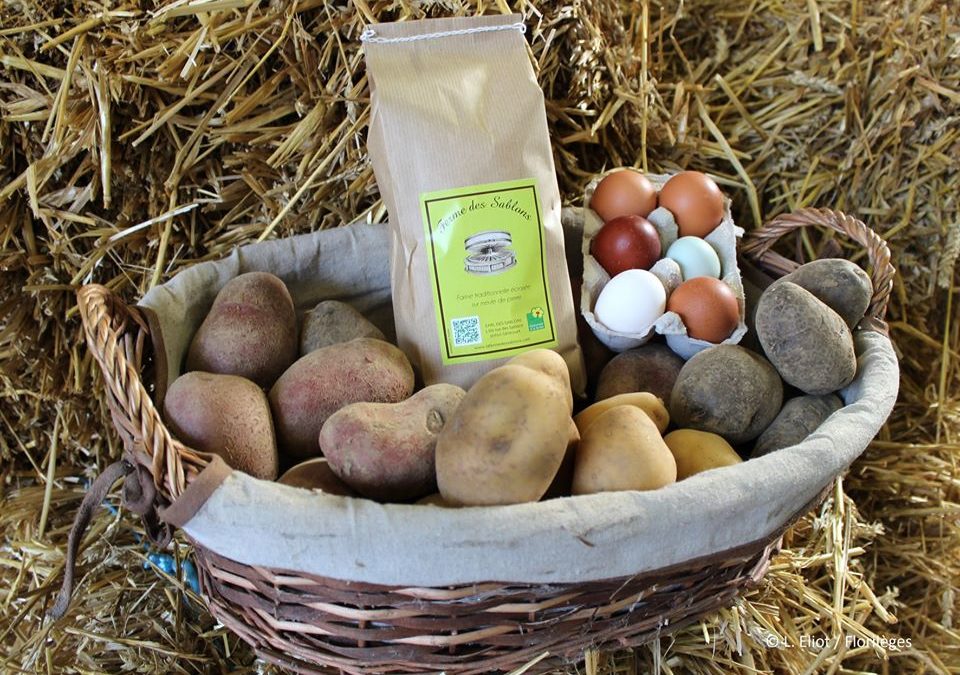 Produits du PNR et commerces locaux : les bons plans !