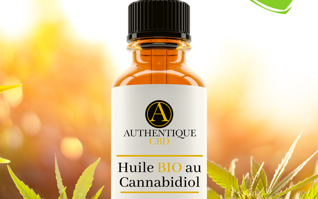 Authentique-CBD lance des huiles au « cannabis légal » !