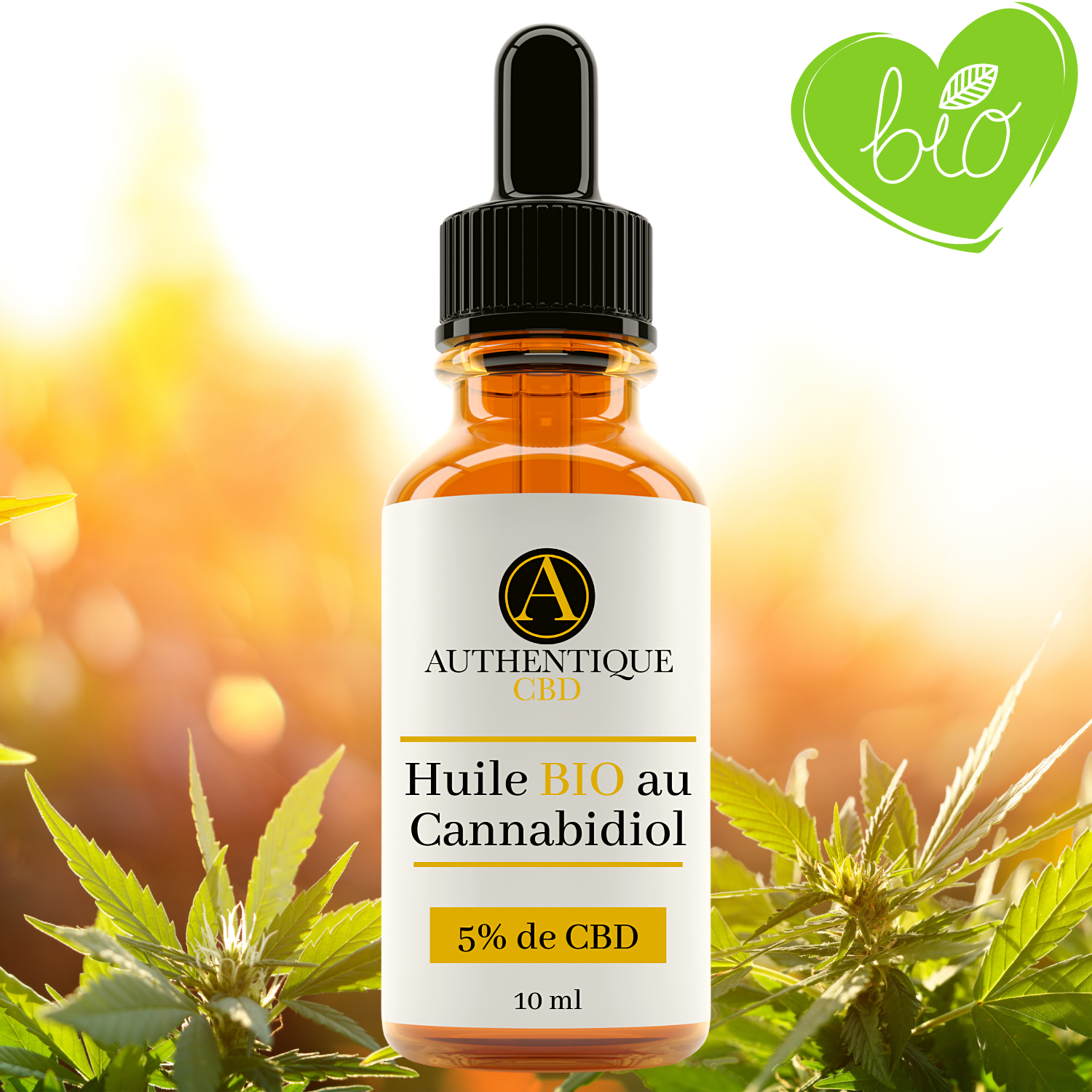AuthentiqueCBD lance des huiles au "cannabis légal" !  Contact
