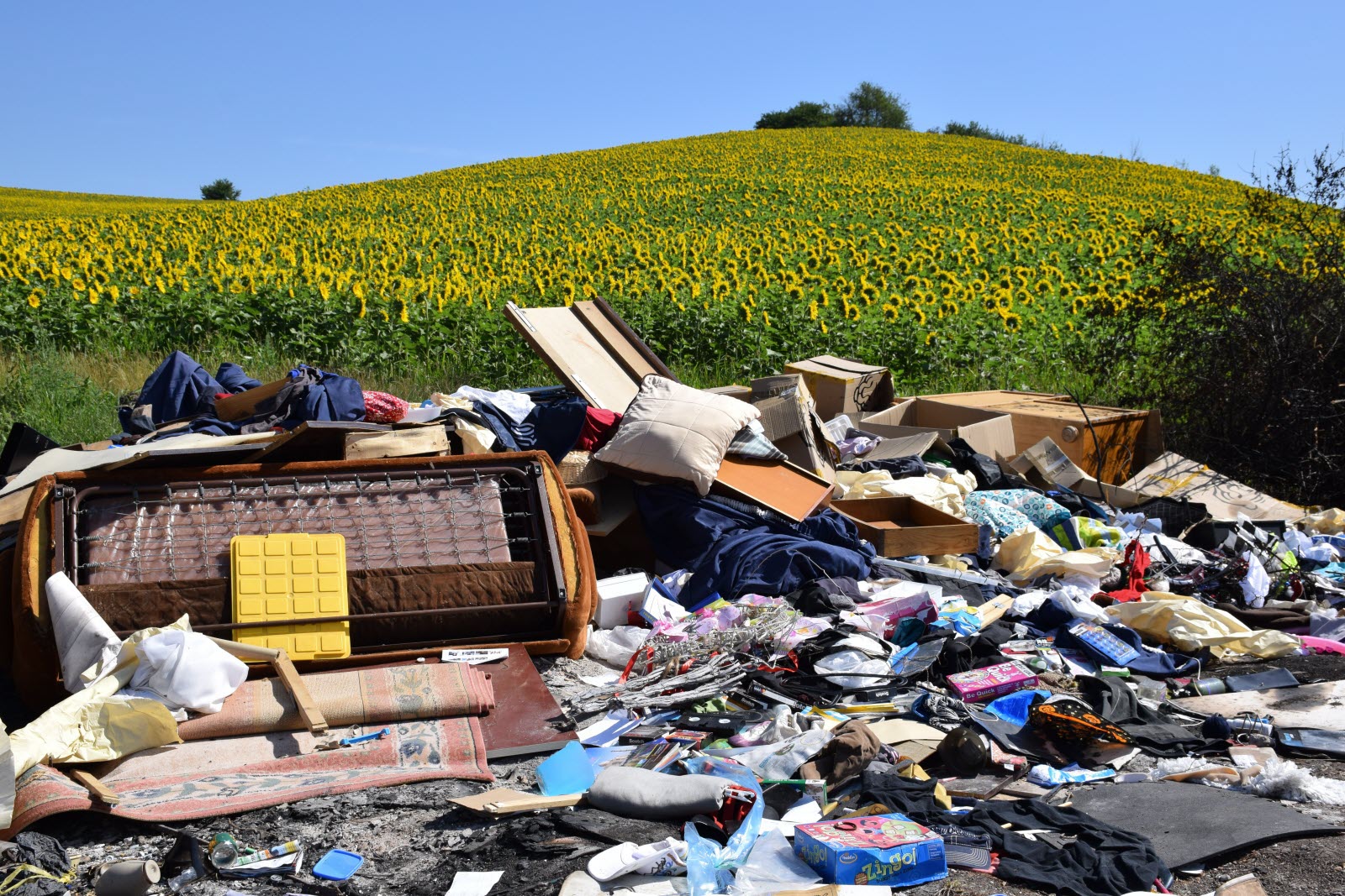 nouveau-depot-sauvage-au-milieu-des-tournesols-1595434809