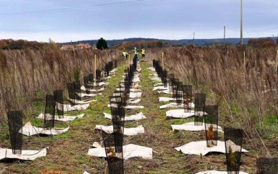 Le Département engagé pour l’environnement et la biodiversité