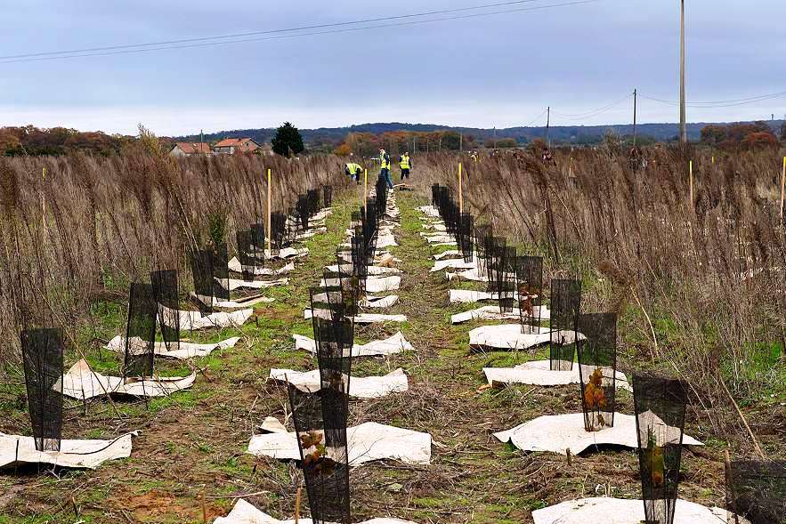 Le Département engagé pour l’environnement et la biodiversité