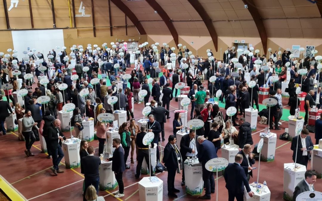 Effervescence 10e édition : le salon à son apogée