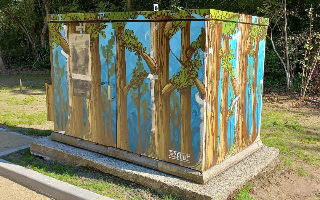 Enedis porte les couleurs du street art dans le Val d’Oise